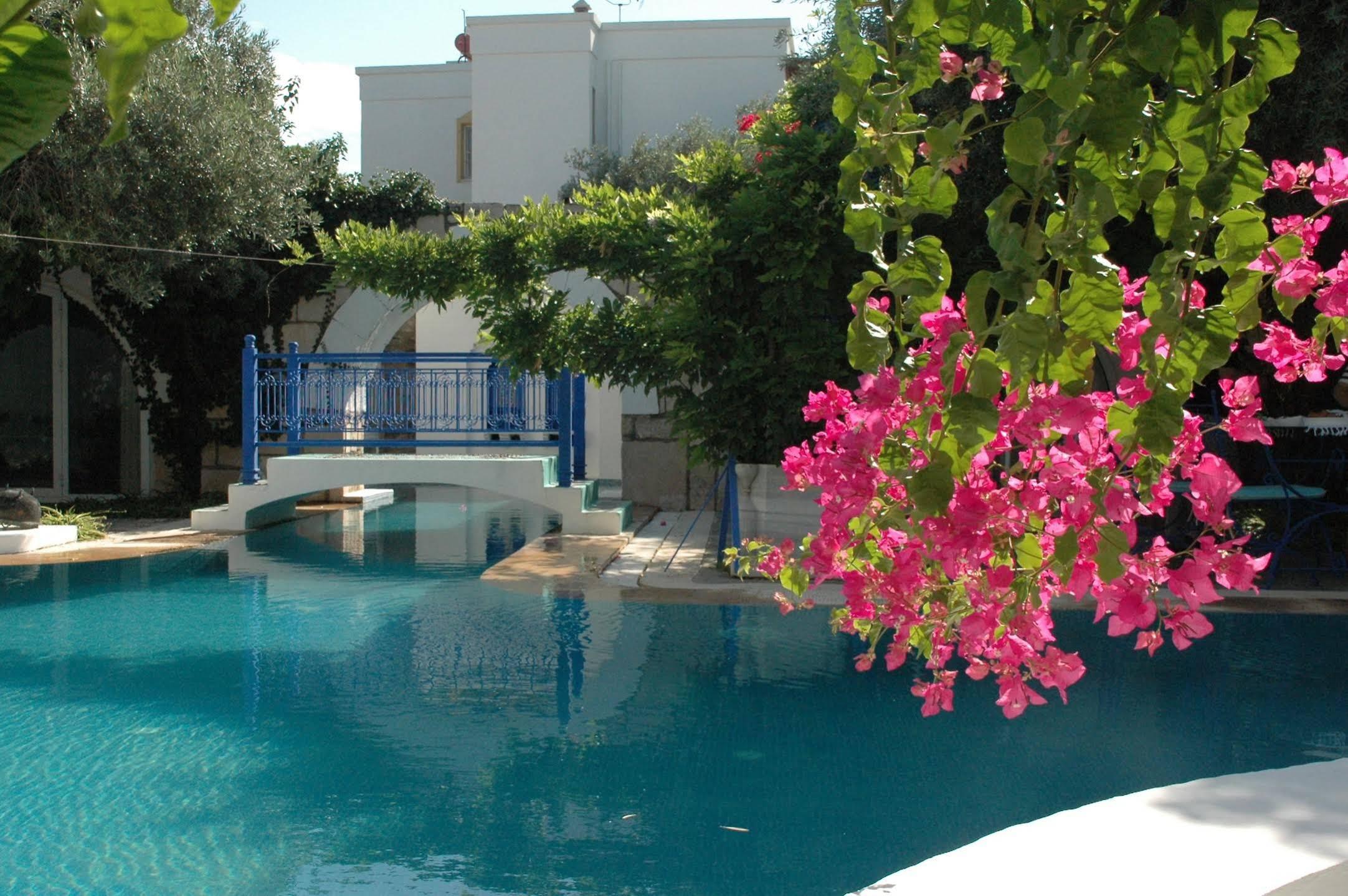 Villa Oliva Butik Hotel Konacik Екстериор снимка