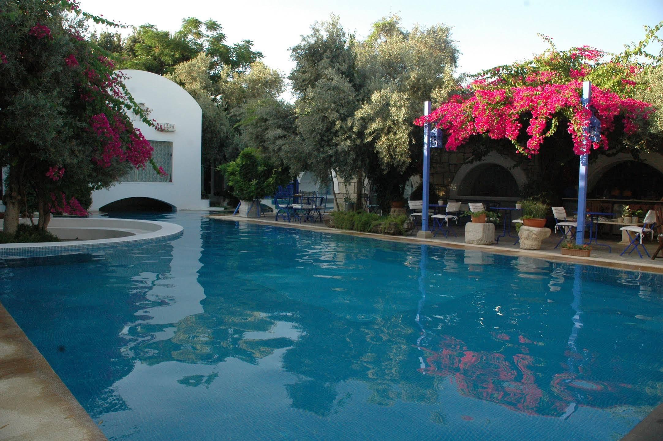 Villa Oliva Butik Hotel Konacik Екстериор снимка
